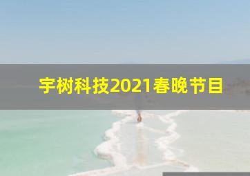 宇树科技2021春晚节目