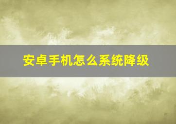 安卓手机怎么系统降级