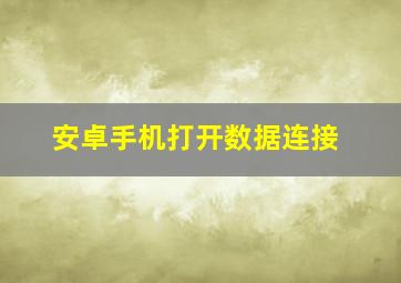 安卓手机打开数据连接