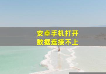 安卓手机打开数据连接不上