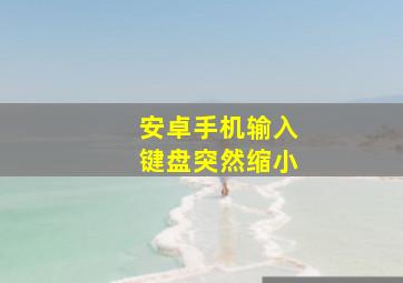 安卓手机输入键盘突然缩小