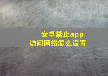 安卓禁止app访问网络怎么设置