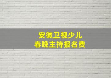 安徽卫视少儿春晚主持报名费