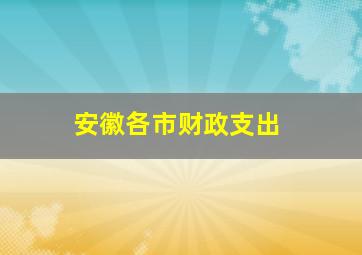 安徽各市财政支出