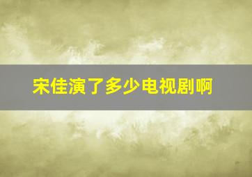 宋佳演了多少电视剧啊