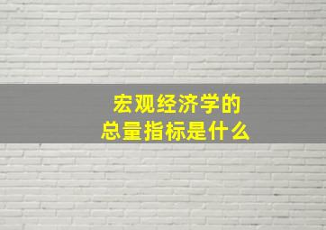 宏观经济学的总量指标是什么