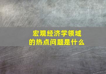 宏观经济学领域的热点问题是什么