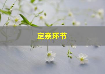 定亲环节