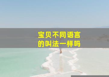 宝贝不同语言的叫法一样吗