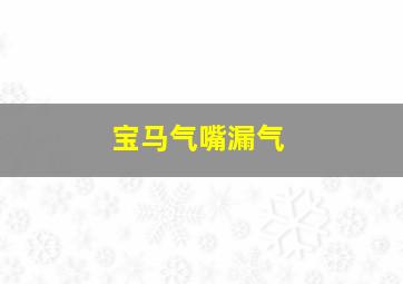 宝马气嘴漏气