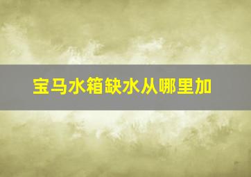 宝马水箱缺水从哪里加