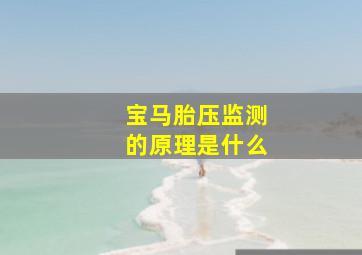 宝马胎压监测的原理是什么