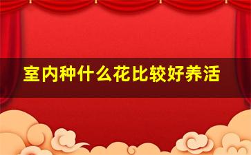 室内种什么花比较好养活