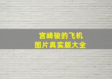 宫崎骏的飞机图片真实版大全