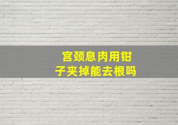 宫颈息肉用钳子夹掉能去根吗