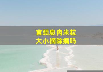 宫颈息肉米粒大小摘除痛吗