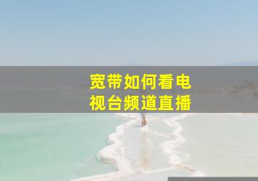 宽带如何看电视台频道直播