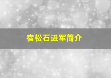 宿松石进军简介