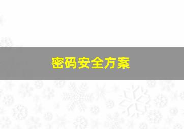 密码安全方案