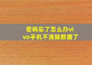 密码忘了怎么办vivo手机不清除数据了