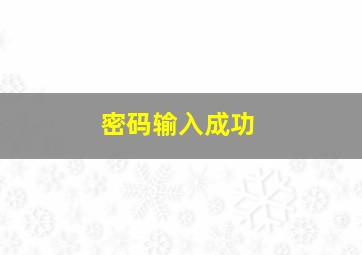 密码输入成功