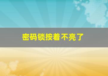 密码锁按着不亮了