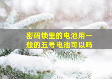 密码锁里的电池用一般的五号电池可以吗