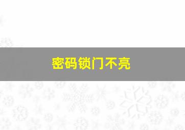 密码锁门不亮