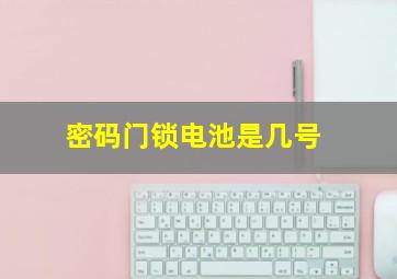 密码门锁电池是几号