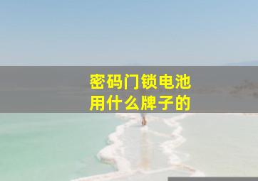 密码门锁电池用什么牌子的