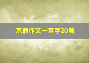 寒假作文一百字20篇