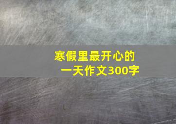 寒假里最开心的一天作文300字