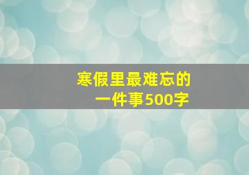 寒假里最难忘的一件事500字