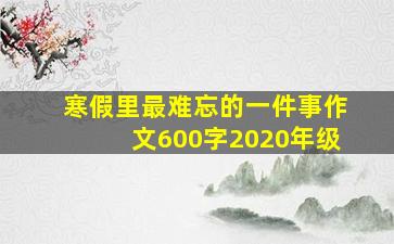 寒假里最难忘的一件事作文600字2020年级