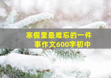 寒假里最难忘的一件事作文600字初中