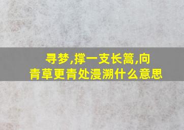 寻梦,撑一支长篙,向青草更青处漫溯什么意思