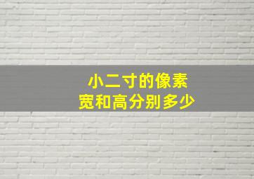 小二寸的像素宽和高分别多少