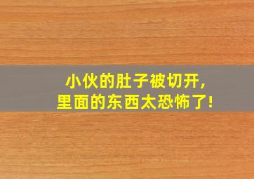 小伙的肚子被切开,里面的东西太恐怖了!