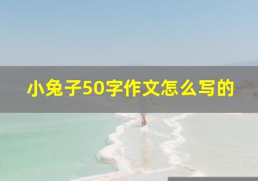 小兔子50字作文怎么写的