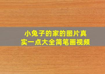 小兔子的家的图片真实一点大全简笔画视频