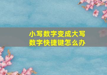 小写数字变成大写数字快捷键怎么办