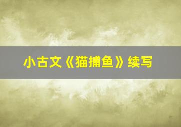 小古文《猫捕鱼》续写