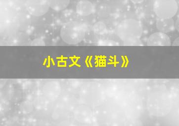 小古文《猫斗》