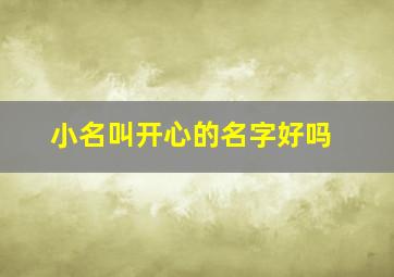 小名叫开心的名字好吗