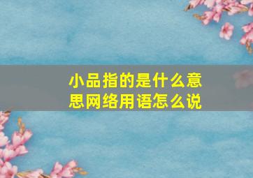 小品指的是什么意思网络用语怎么说