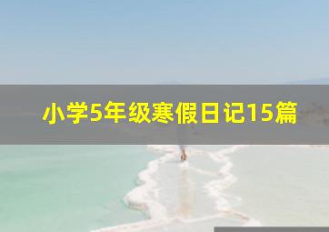 小学5年级寒假日记15篇