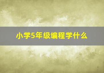 小学5年级编程学什么