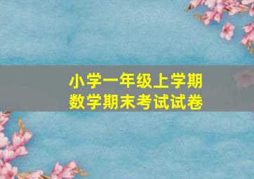 小学一年级上学期数学期末考试试卷