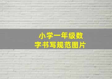 小学一年级数字书写规范图片