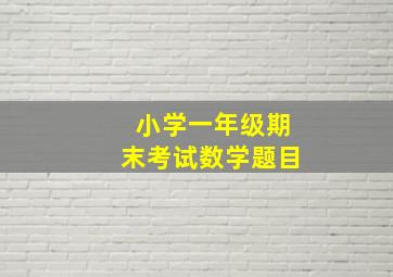 小学一年级期末考试数学题目